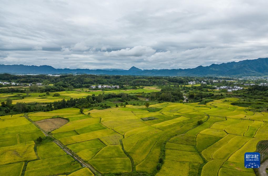 缅甸星河国际网址